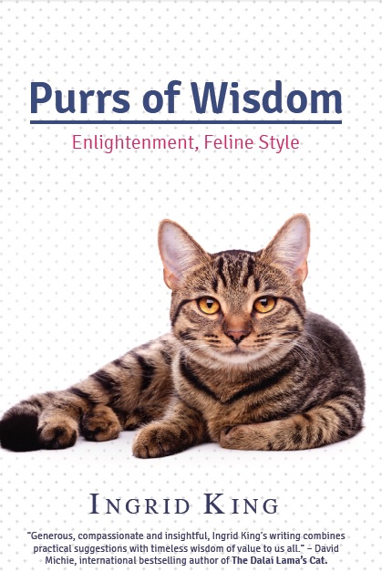 Purrs of Wisdom