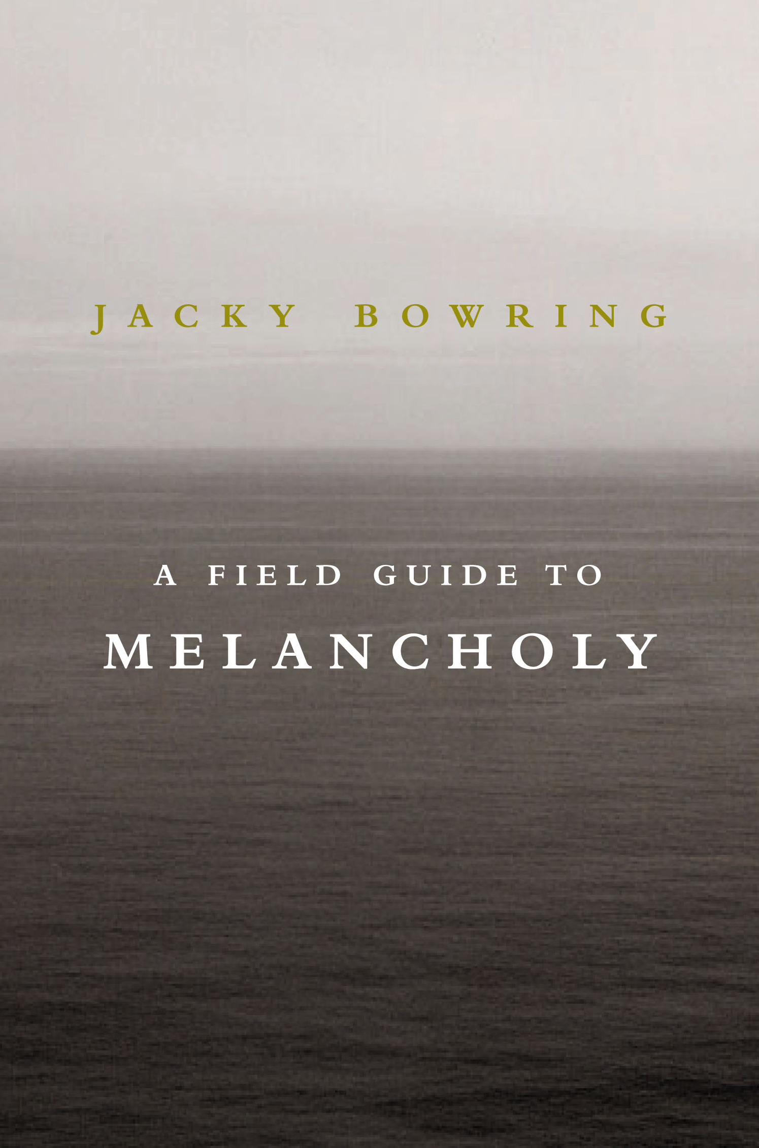 A FIELD GUIDE TO MELANCHOLY